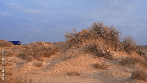 Sand dunes covered with saxaul (Haloxylon) early spring view. Kazakhstan.. R-21 highway. Almaty region. Bodokhudzir. 