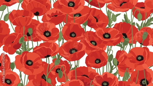Dense field of vibrant red poppy flowers with dark centers and green stems creating a beautiful and lush floral background texture.