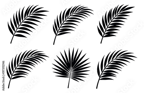 Black silhouette palm leaf set featuring tropical foliage for summer and vacation designs
