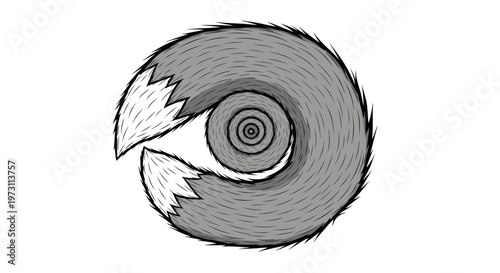 Gray, fluffy tail coiled into a spiral with white, bushy tips