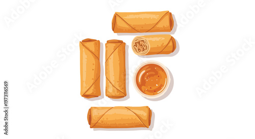 A collection of golden brown spring rolls and a dipping sauce presented in a delightful illustration style for culinary enjoyment