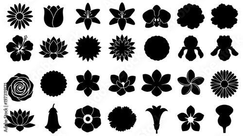 Diverse Collection of Floral Silhouette Icons for Digital Design, AI-Driven Categorization, and Botanical Visual Representation – A Vector Set of Various Flower Shapes