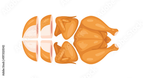 A top-down view illustration of a whole roasted chicken dissected into individual pieces and presented neatly on a white background