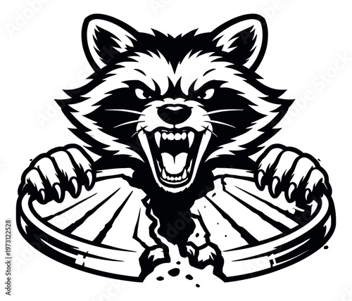 Graphic illustration of a raccoon mascot depicting fiercely tearing through a circular emblem for sports design