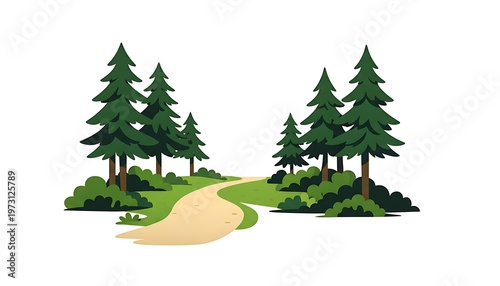 Scenic Woodland Path Leading Through a Forest with Tall Green Pine Trees