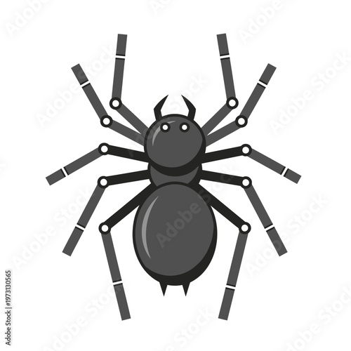 Stylized Spider Illustration