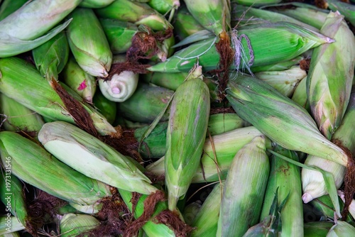 Pile of corns, top view.