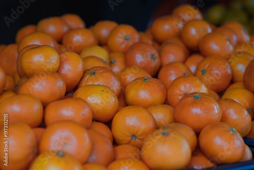 ripe oranges freshly picked from the orchard tree