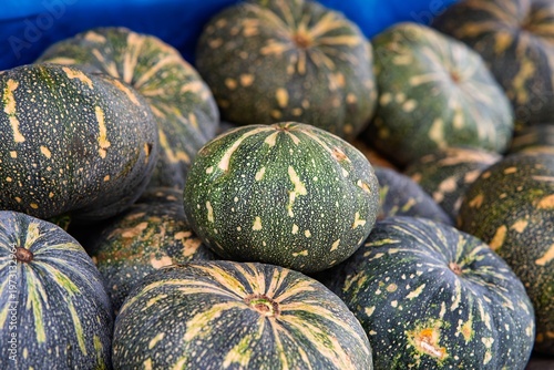 Kabocha is a type of winter squash, a Japanese variety of the species Cucurbita maxima.