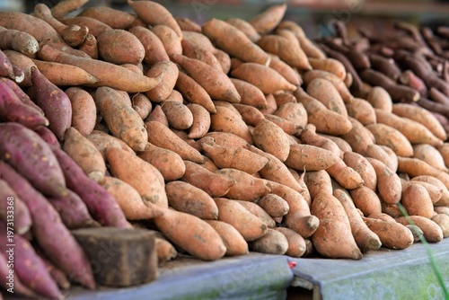 Various sweet potatoes in the market