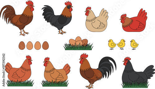 Chicken and Rooster Icon Set Featuring Farm Poultry, Eggs, and Chicks for Agriculture, Farming, Livestock, and Rural Animal Design