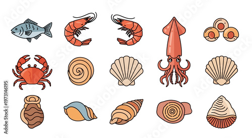 Seafood Shells and Ocean Creatures Illustration.