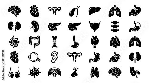 Collection of Human Anatomy Icons Representing Internal Organs and Body Systems