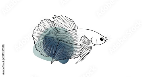 vector illustration of a fish