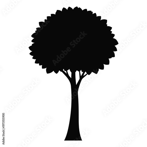 A tree stands alone in silhouette against a plain background