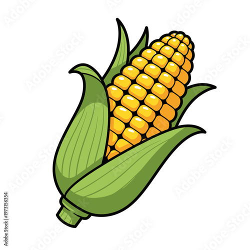 Fresh Corn on the Cob with Green Leaves, Healthy Food Illustration