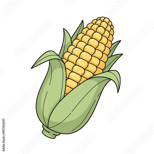 Fresh Corn on the Cob with Green Leaves, Healthy Food, Farm Harvest