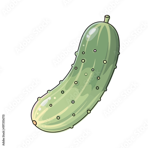 Fresh Green Cucumber with Spikes Isolated on White Background, Healthy Vegetable Illustration