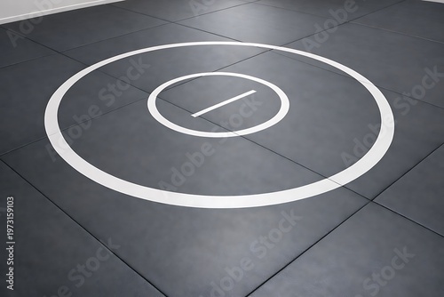 Empty Dark Grey Wrestling Mat with White Circles and Line