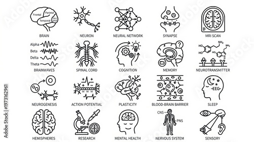 Collection of icons representing neuroscience concepts and the human brain.