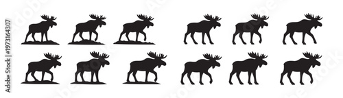 Set of Moose Silhouettes in Various Walking and Standing Poses