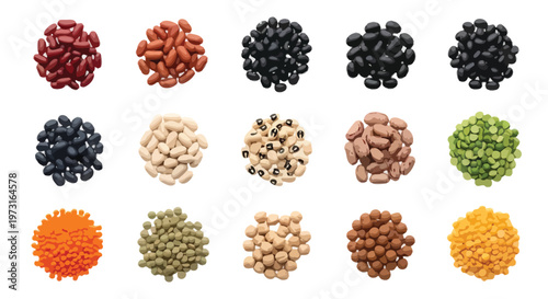 Collection of fifteen piles of various dried beans and lentils in different colors and shapes kidney beans