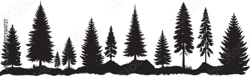 silhouette evergreen pine forest treeline with spruce and fir conifer trees isolated on white background, vector