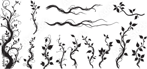 Jungle creeper silhouettes. Tropical forest lianas, rainforest hanging sprouts. Climbing liana vines vector