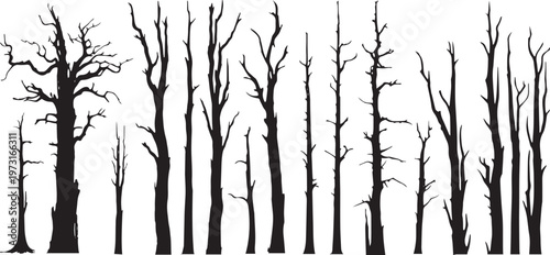 silhouette forest with dead trees,  leafless, dead trees, Bare trees with branches. vector illustration