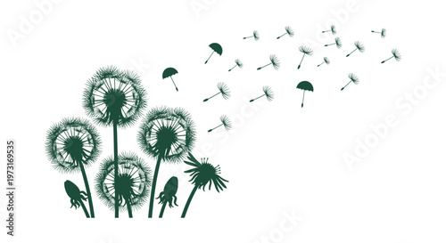 Dark Green Dandelion Silhouette with Flying Seeds Illustration Vector Graphic for Background Design