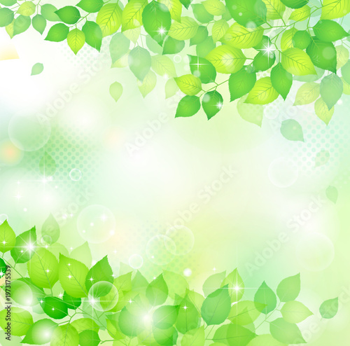 グラデーションが美しい風に舞うフレッシュな新緑フレーム　背景
