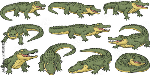 Crocodile and alligator poses collection with different angles and actions detailed reptile cartoon vector illustration set isolated on white background