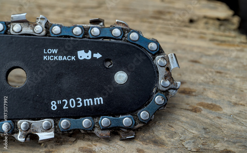 Photo of chainsaw blade and chain mounted on guide bar.