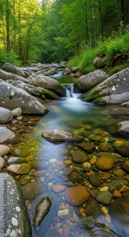 Obraz premium Serene Mountain Stream Flowing Through Lush Green Forest with Smooth Rocks and Clear Water.