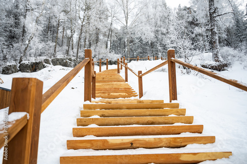 Snowy Wooden Steps in Serene Winter Forest