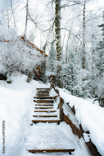 Snowy Wooden Steps in Serene Winter Forest
