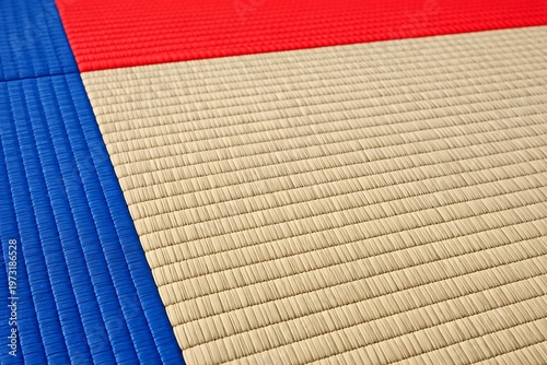 Sports Mat Surface with Beige Blue and Red Textured Pattern