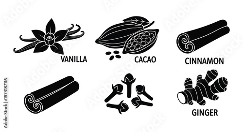 A graphic representation of vanilla cacao cinnamon ginger and cloves in a minimalist black silhouette high quality professional detailed modern elegant
