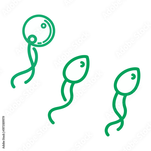Vector of three sperm cells with structures displayed in green