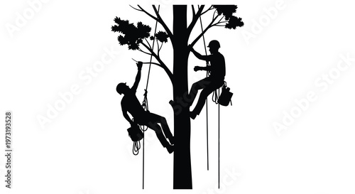 Two arborists are scaling a tree with ropes and harnesses working on its branches a striking silhouette high quality professional