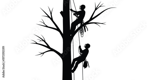 Two arborists skillfully climb a tree utilizing ropes and harnesses for safe and precise tree care silhouette high quality professional