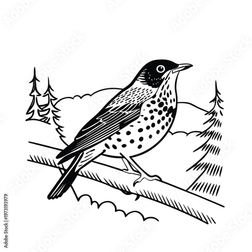 Eurasian Thrush bird illustration on a branch with trees and hills in the background, black and white.