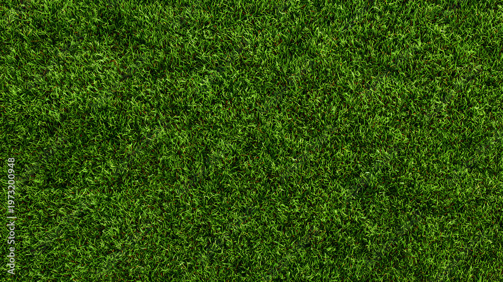 Obraz premium Green grass seamless background texture. Aerial top view of green turf surface from a garden lawn, football pitch, sports field.
