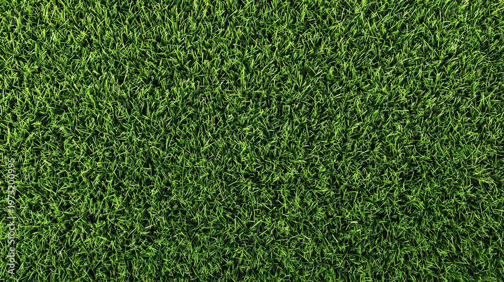 Obraz premium Green grass seamless background texture. Aerial top view of green turf surface from a garden lawn, football pitch, sports field.