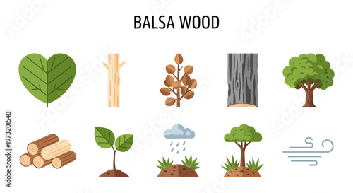 Balsa wood tree and leaf illustrations.