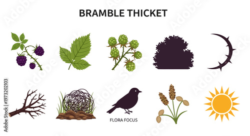 Bramble thicket with various plant elements.