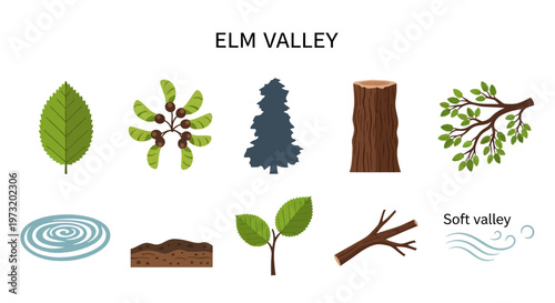 Elm valley nature forest elements illustration.