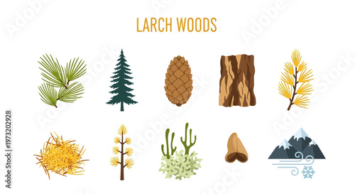 Larch woods forest tree elements illustration.