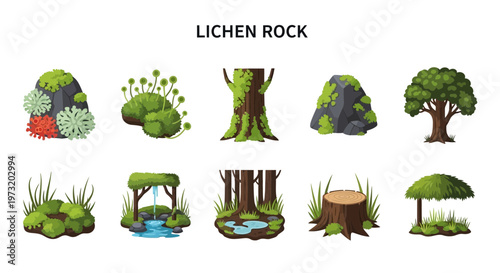 Obraz na plátně Lichen growing on various rocks and trees.