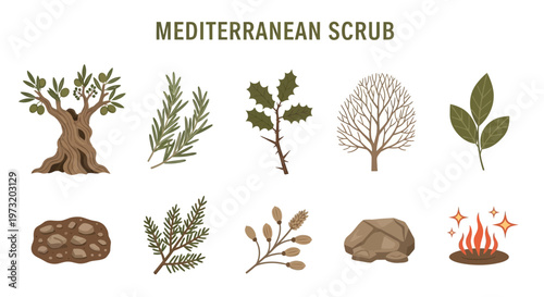 Mediterranean scrub plants and trees icons.